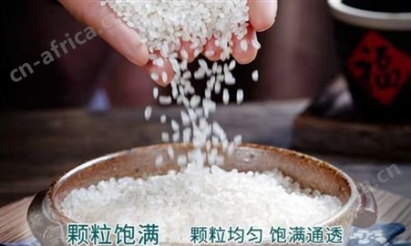 普洱梯田稻米5kg 桂花甲 颗粒饱满真空包装 现货 厂家直供