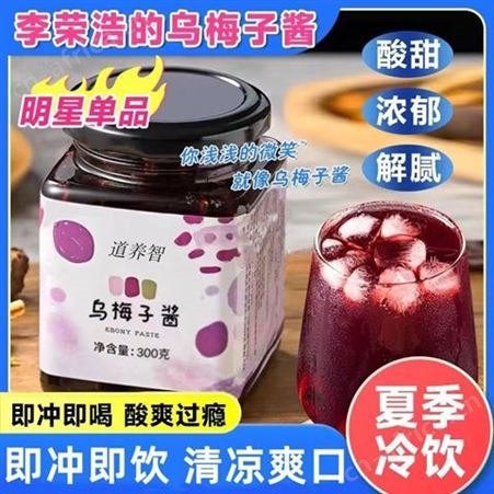 道养智乌梅膏瓶装300g食品调味酱甜酸味梅子酱