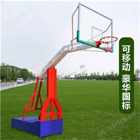 华丽体育 户外家用篮球架 青少年成人升降篮球架幼儿园儿童可扣篮带轮移动