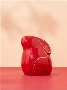 兔年工艺品开门红大展红兔存钱罐礼盒包装伴手礼新年吉祥