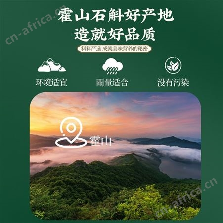 石斛饮代加工万花草滋补口服液贴牌男女调理原液oem植物饮料出口
