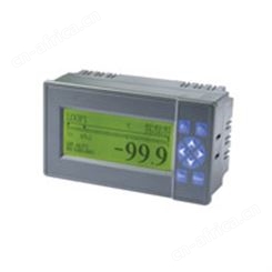 VPR202系列流量积算记录仪