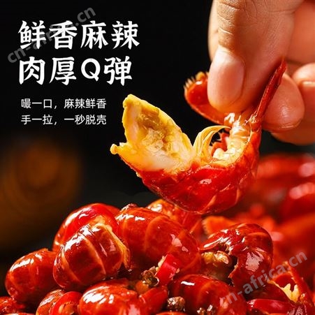 黄石小鲜卤麻辣小龙虾尾冷冻非鲜活新生鲜龙虾尾加热即食麻辣虾球