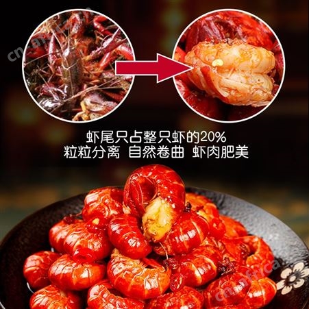 小龙虾尾冷冻生鲜10斤鲜活整箱龙虾球无冰衣商用特品质好级大号生的