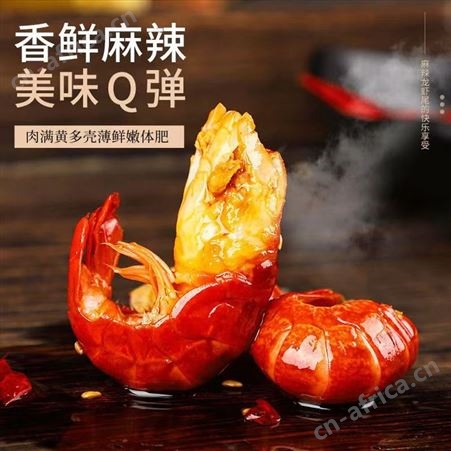 麻辣龙虾尾罐头海鲜套餐组合装罐装网红零食即食八爪鱼鱿鱼小龙虾品质好