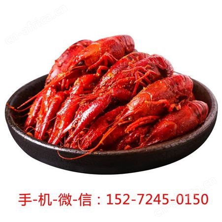 鄱杨户麻辣小龙虾香辣蒜蓉4-6钱龙虾盒装加热即食熟食自热大青虾
