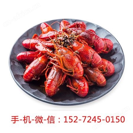 鄱杨户麻辣小龙虾香辣蒜蓉4-6钱龙虾盒装加热即食熟食自热大青虾