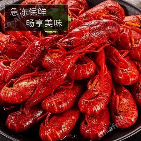 蟹小茉麻辣小龙虾熟食即食海鲜1.8kg(4-6钱)36-50