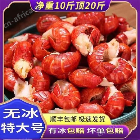小龙虾尾冷冻生鲜10斤鲜活整箱龙虾球无冰衣商用特品质好级大号生的