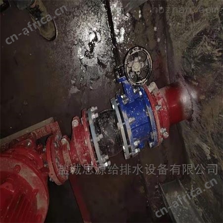 抗浮式地埋箱泵一体化泵站报价