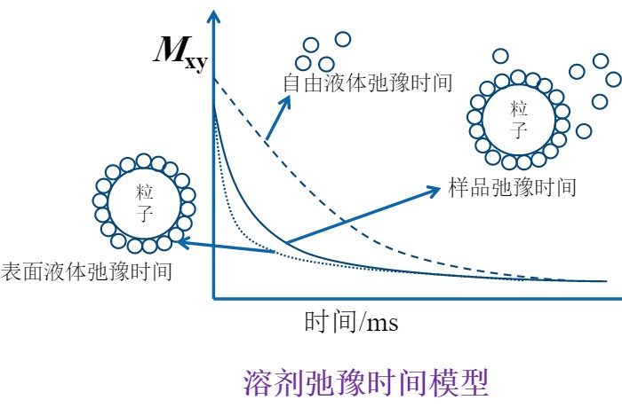 低场核磁技术研究纳米银颗粒团聚