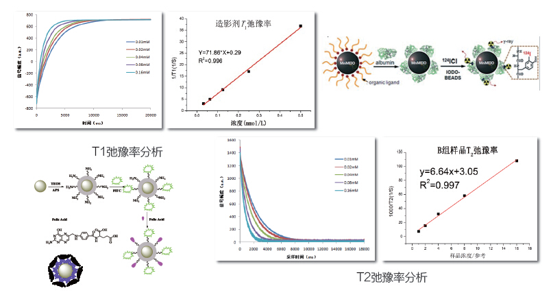 超顺磁性氧化铁造影剂原理研究-磁共振快速弛豫分析仪 超顺磁性氧化铁造影剂原理研究-磁共振快速弛豫分析仪