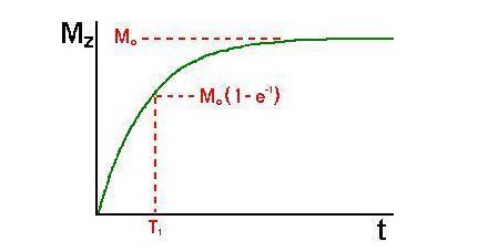 怎样理解核磁共振弛豫时间