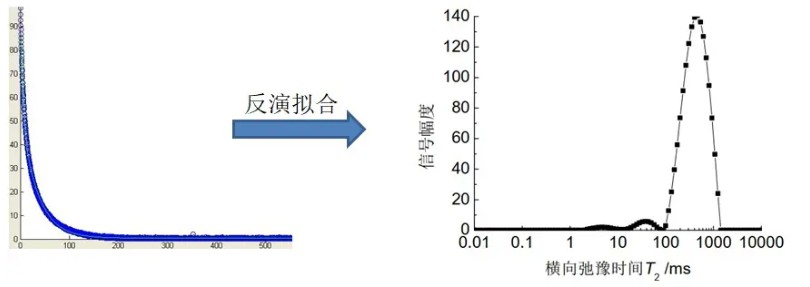 低场核磁技术研究食品吸水和持水能力